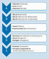 ABCDE Schema: A Step-by-Step Guide